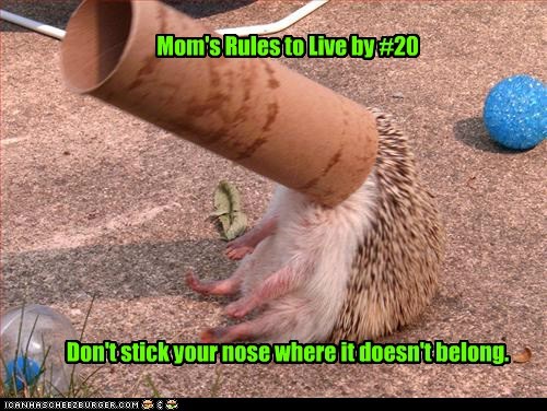 Life Lessons