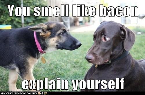 Is That Your Guilty Look?