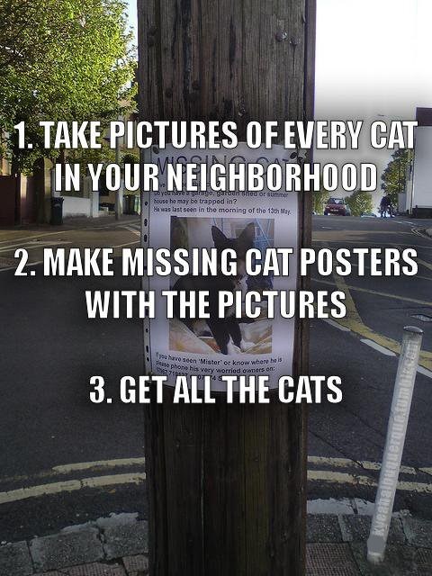 How to Get all the Cats