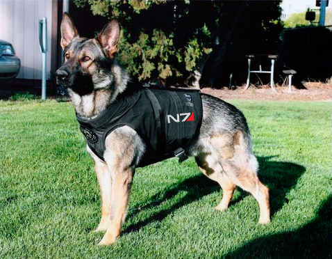 This is Commander Shepherd and This is My Favorite Yard on Earth