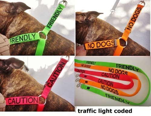 Perfect For our Doggie Friends!