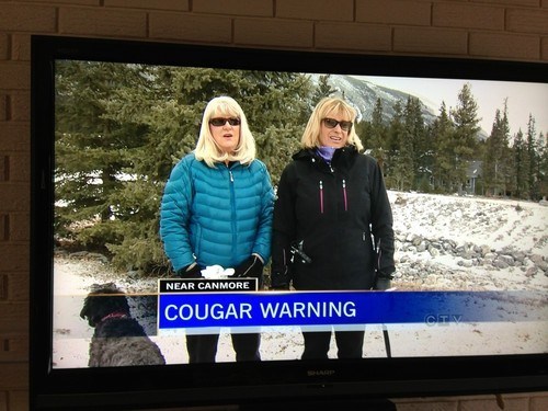 We've Found Them!
