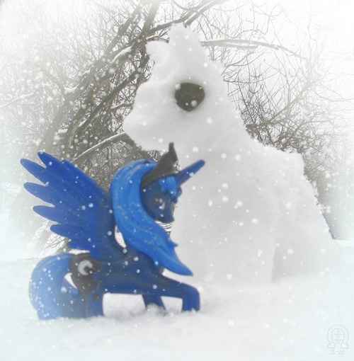 Luna Has Best Snowpony
