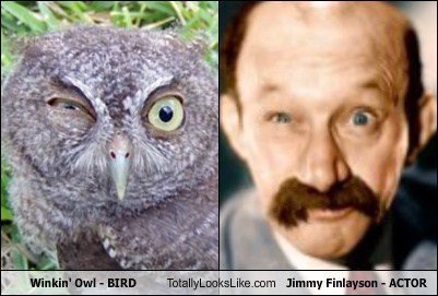 Winkin' Owl Totally Looks Like Jimmy Finlayson