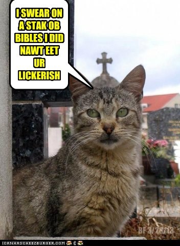 HOLY CAT DON LIE?