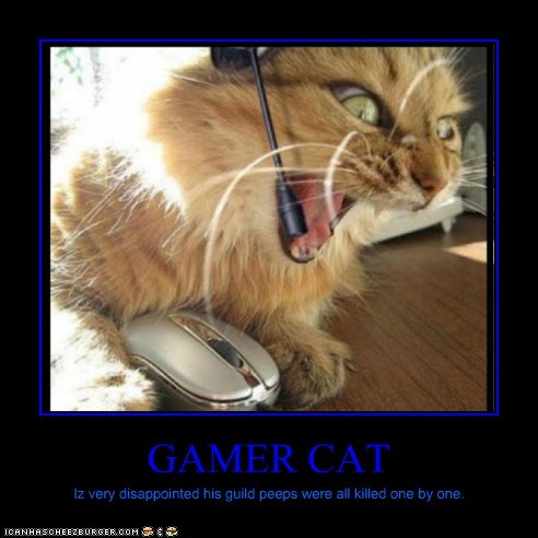 GAMER CAT