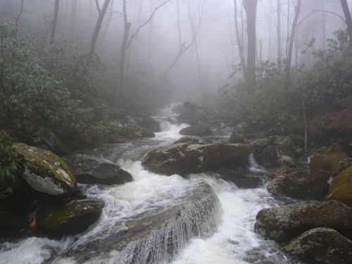 Smokey Mountain National Park