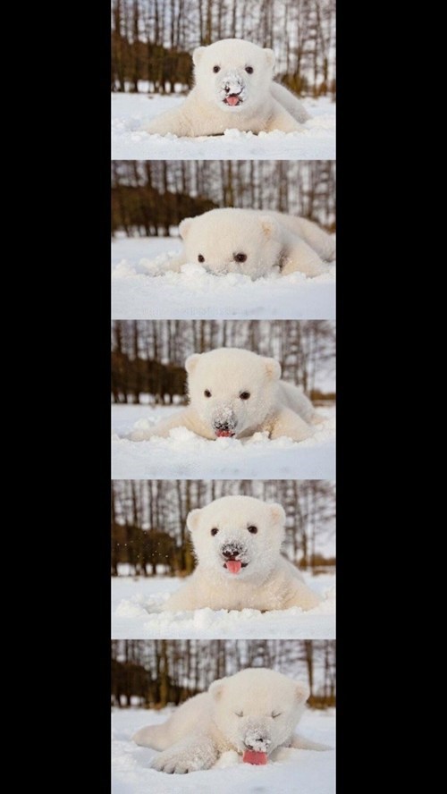 This Snow Tastes Funny