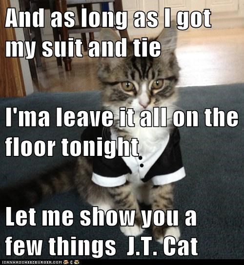And as long as I got my suit and tie  I'ma leave it all on the floor tonight    Let me show you a few things  J.T. Cat