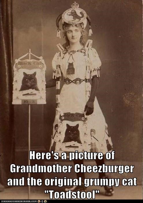 Grandmother Cheezburger and Toadstool
