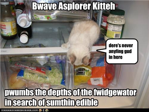 Bwave Asplorer Kitteh