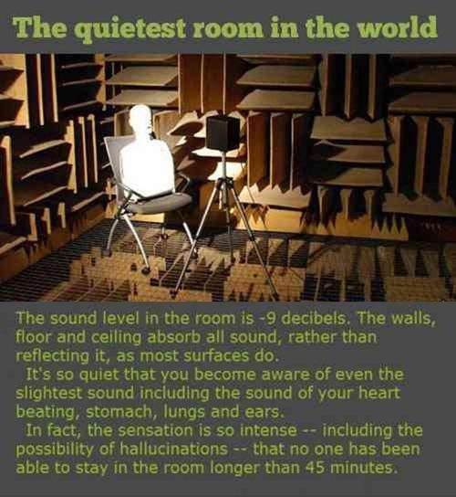Welcome to the Ultimate Study Room