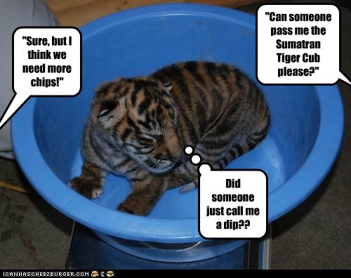 "Can someone pass me the Sumatran Tiger Cub please?"