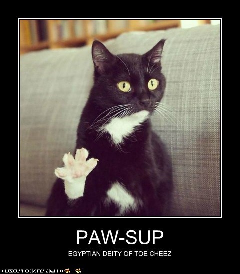 PAW-SUP