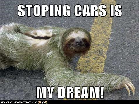 STOPING CARS IS  MY DREAM!