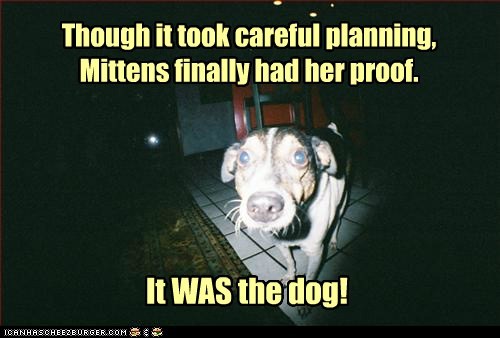 She would use this photo many times while exclaiming, "See? Told ya!"