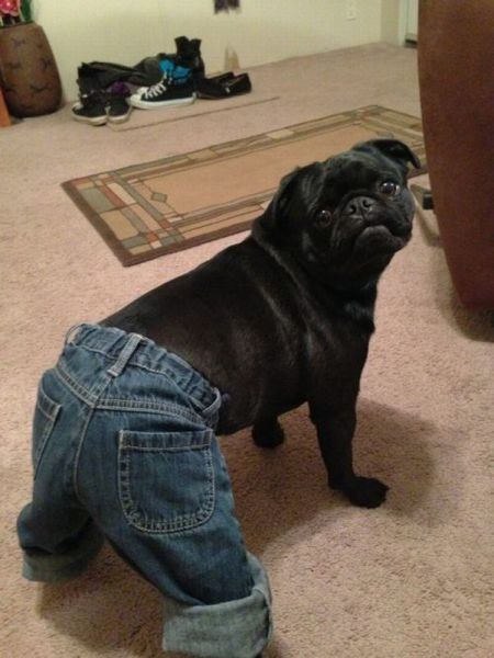 Dem Jeans