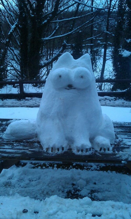 Simon's (Snow) Cat