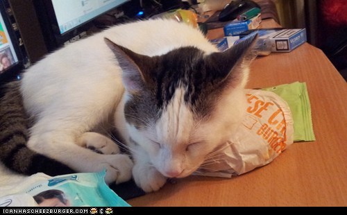 Cheezburger, I Haz U