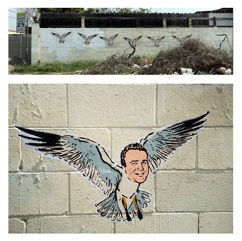 Jason Seagull
