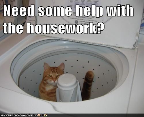Need some help with the housework?