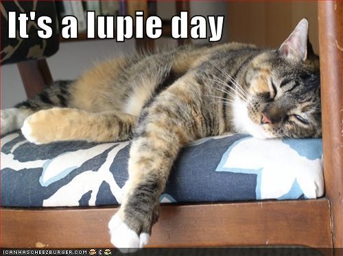 It's a lupie day