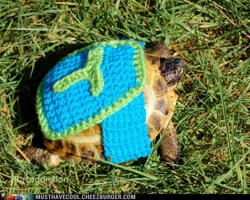 Super Tortoise to the Rescue!