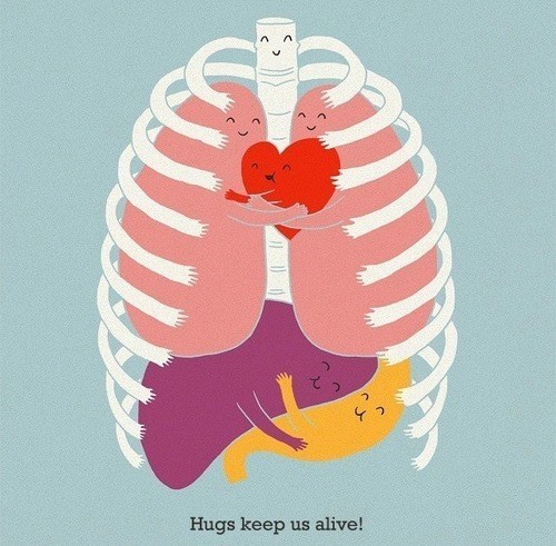 Your Internal Organs Are Full of Love