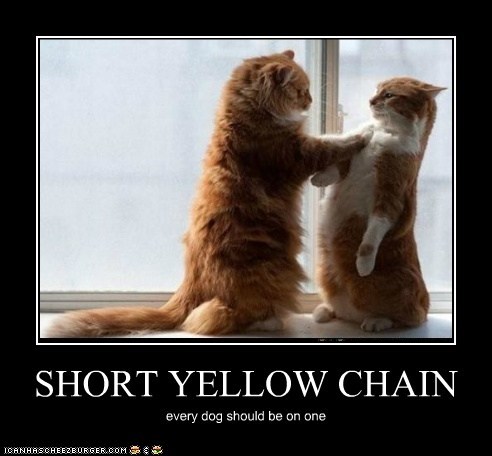 SHORT YELLOW CHAIN