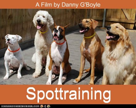 Starring Ewan McDigger