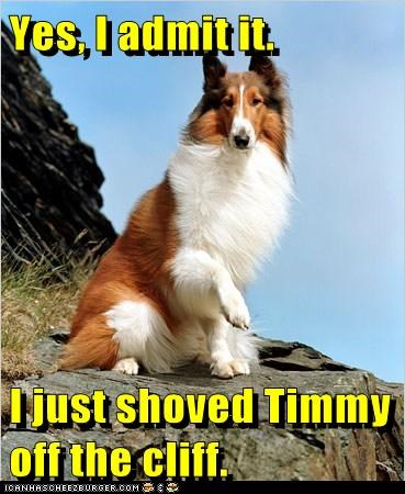 Yes, I admit it.  I just shoved Timmy off the cliff.