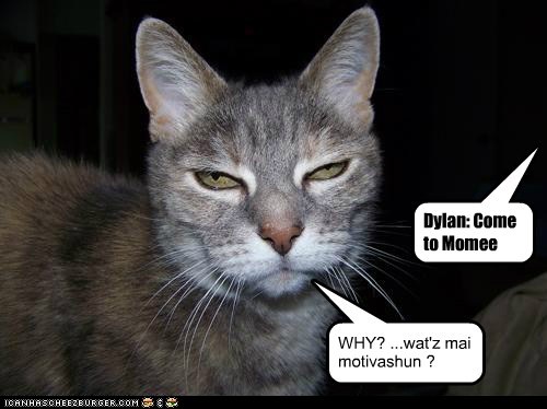 Catz: Overly Trained Method Actors