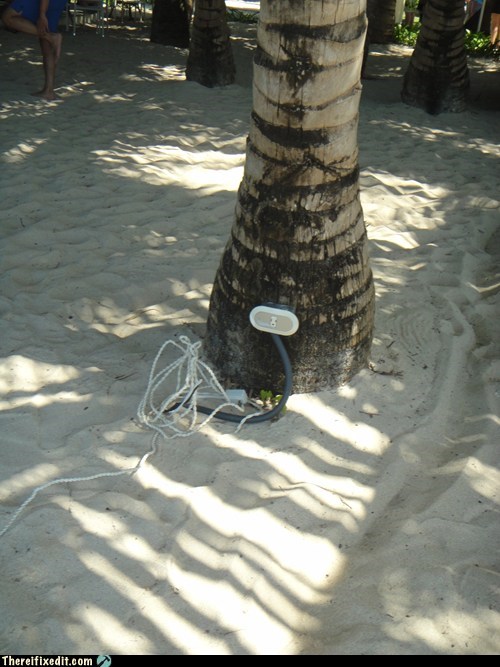 Charge Your Phone on the Palm Tree