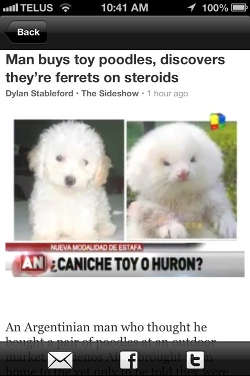That Ain't No Dog, Dawg