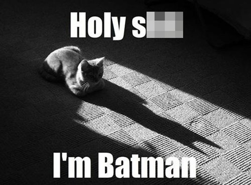 I Am the Night...