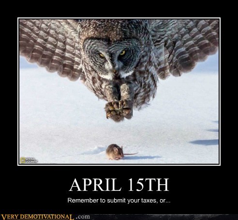 The Owl Is the IRS