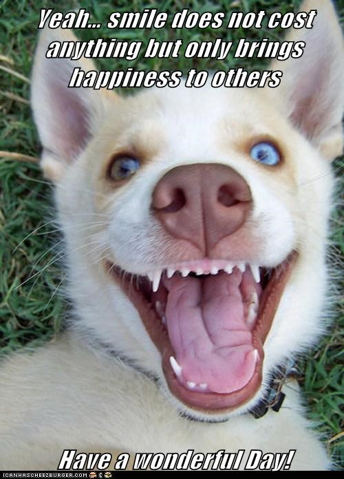 Yeah… smile does not cost  anything but only brings happiness to others                                                            Have a wonderful Day!