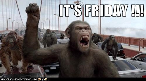 IT'S FRIDAY !!!