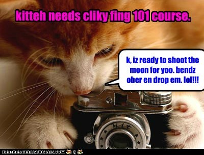Kitteh Needs Cliky Fing 101 Course.