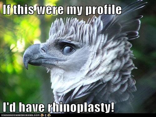 If this were my profile  I'd have rhinoplasty!