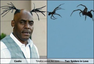 Coolio's Braids Totally Looks Like Two Spiders in Love