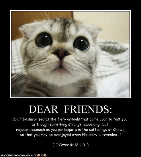 DEAR  FRIENDS: