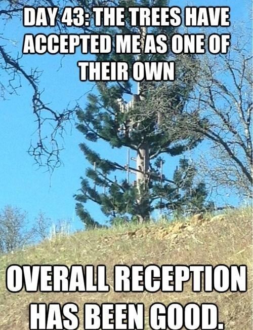 Oh Cell Tower, You're HILARIOUS