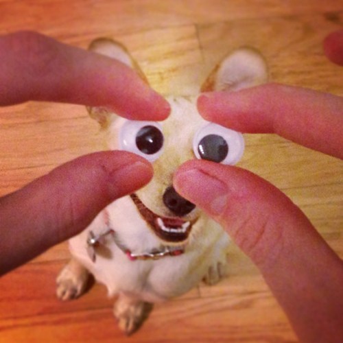 How You Like Them Googly Eyes?