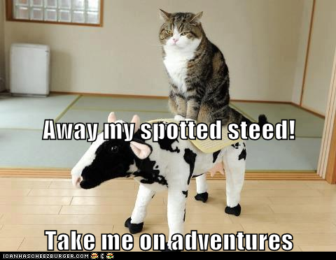 Away my spotted steed! Take me on adventures