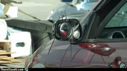 Nice Lashes!