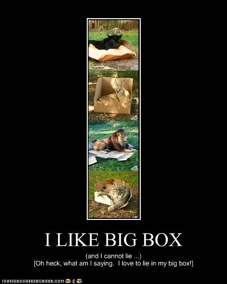 I LIKE BIG BOX