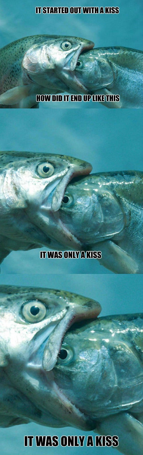 Name That Tuna...