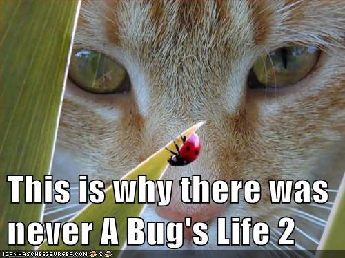 This is why there was never A Bug's Life 2