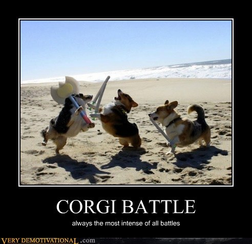 CORGI BATTLE